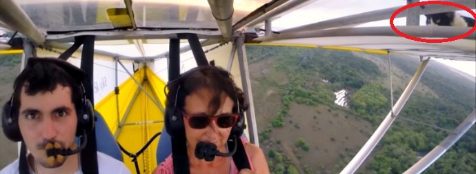 Terror In The Skies. Rookie Pilot Fails Pre-flight Inspection, Discovers Furry Passenger On The Wing Mid-flight.