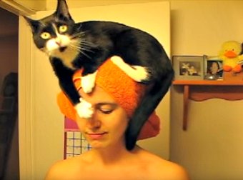 Here's A Girl Very First Youtube Video Featuring Her Cat, That Quickly Went Viral