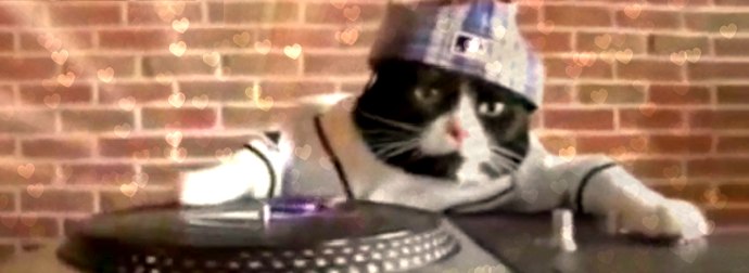 Adorable Cat IS Called DJ Kitty And He Drops Beats & Scratches Like A Boss. WATCH!