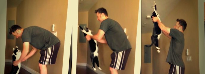 Cat Demands Cat-Dad Guy Hug Him Every Morning In The Most Adorable, Cute Way. I'm So Jealous.