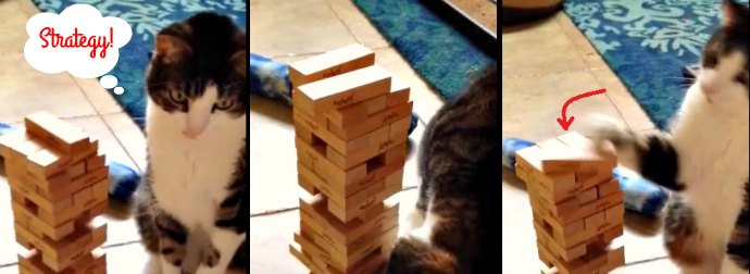 Strong And Smart Cat Plays An Incredible Game Of Jenga. Watch!