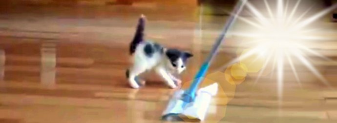 Swiffer Duster Lady Cleans And Mops Floor When Her Kitten Comes And Tries To Ride The Duster