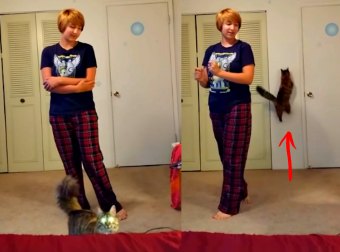 Cat Puts An End To His Mom Doing A Horrible Performance Of Disney Song "Let It Go" 