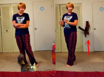 Cat Puts An End To His Mom Doing A Horrible Performance Of Disney Song "Let It Go" 