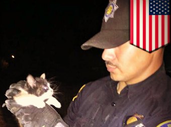 Fresno Police Officers Rescue A Kitten Stranded Inside A Narrow Drain Pipe To Safely Using A Half-Eaten Burrito