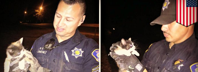 Fresno Police Officers Rescue A Kitten Stranded Inside A Narrow Drain Pipe To Safely Using A Half-Eaten Burrito