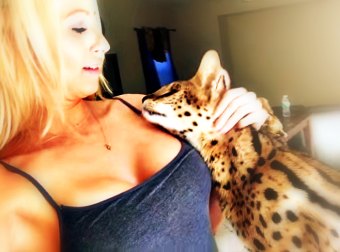 Bengal Cat Climbs Onto Her Cat-Mom And Says "Mama", I Couldn't Believe It!