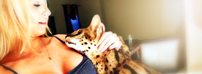 Bengal Cat Climbs Onto Her Cat-Mom And Says "Mama", I Couldn't Believe It!