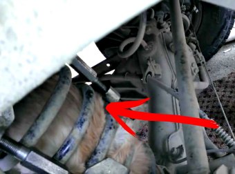 Russians Rescue Cat Stuck In Their Car Suspension Spring After Riding 40 Miles. Wow!