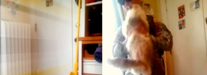 Iraq War Returns Home From Battle To His Cat Going Nuts Over Him. So Adorable. Just Watch It!