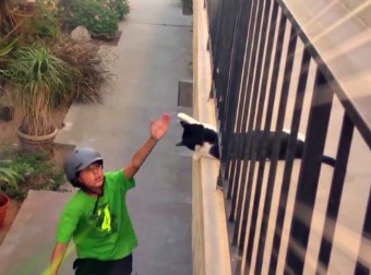 Caught On Camera - Tuxedo Cat High-Five's Kid Riding Through On His Bike. Wait For It!