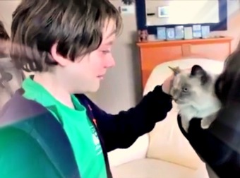 Young Boy Totally Loses It After His Mom Surprises Him By Finding His Lost Senior Cat.