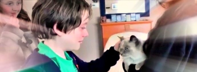 Young Boy Totally Loses It After His Mom Surprises Him By Finding His Lost Senior Cat.