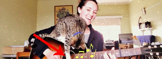 Cat Steals The Show From His Musician Cat-Mom And Starts Busting Out Tunes On The Guitar