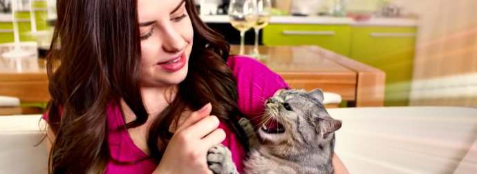 You Might Be Petting Your Cat, Kitten All Wrong. Jackson Galaxy From Animal Planet Show You The Way