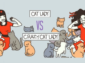 Cat Lady vs Crazy Cat Lady. Can you tell the difference?