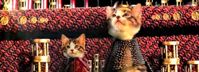 What If Game Of Thrones Was Remade As Game Of Meows? Watch Preview Video