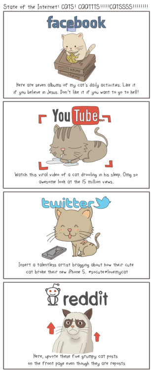 state of internet cats devin bosco le tumblr infographic pic