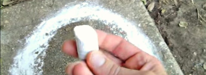 Use This Simple Trick To Keep Ants Out Of Your Cat's Pet Food Dish