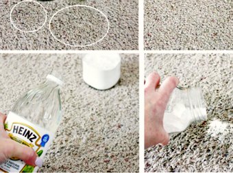Say Goodbye To Cat Vomit, Pet Stains Using 2 Household Items With This Clever Trick.
