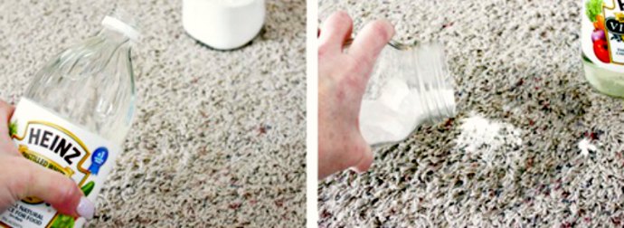 Say Goodbye To Cat Vomit, Pet Stains Using 2 Household Items With This Clever Trick.