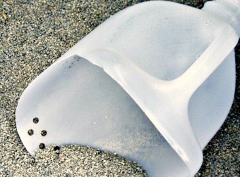 3 Creative Ways To Make Mess-Free Litter Scoops From Milk Jugs