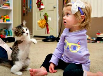 Kitten and Baby Girl Bond Together After Surviving a Common Loss