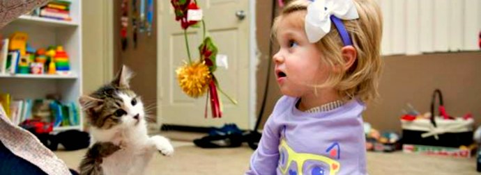 Kitten and Baby Girl Bond Together After Surviving a Common Loss