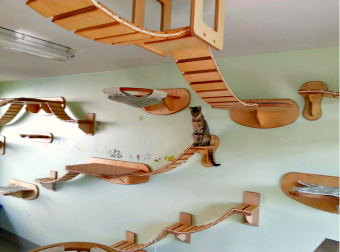 This German Designer Makes Cat Condos, Bridges And Walkways That Your Kitty Will Drool Over