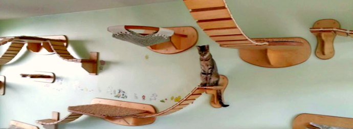 This German Designer Makes Cat Condos, Bridges And Walkways That Your Kitty Will Drool Over