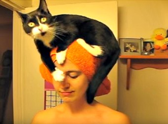 Whenever His Cat-Mom Exits The Shower, This Cat Does Something Totally Weird.