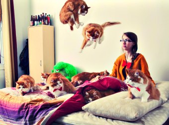 For Cat Lovers Who Can't Have 'Em All, This Lady Is A Gift Sent From The Cat Heavens