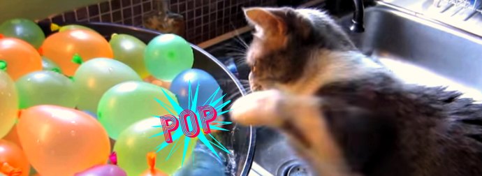 Summer Is Here, And Here's How One Cat's Training For His Water Balloon Fight