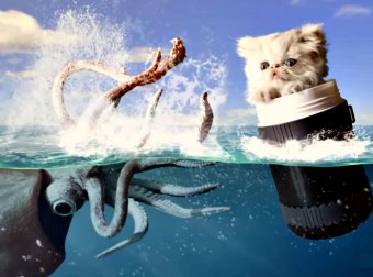What This Film-maker Does With His Cat And A Greenscreen Will Amaze You