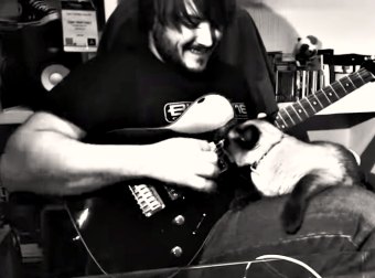 She Wanted To Be A Guitar-Hero Cat, So She Made Her Rockstar Cat-Dad Show Her The Strings