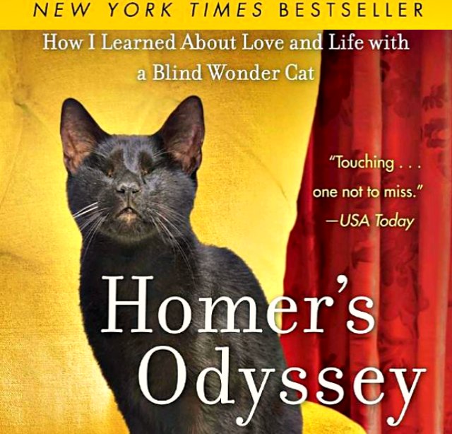 homers odyssey blind wonder cat book amazon kindle