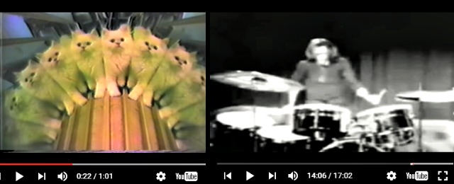 youtube kaleidoscope kitten cat with iron butterfly gadda vida